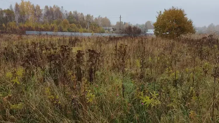 Земельный участок на торгах в Можайском м.о.