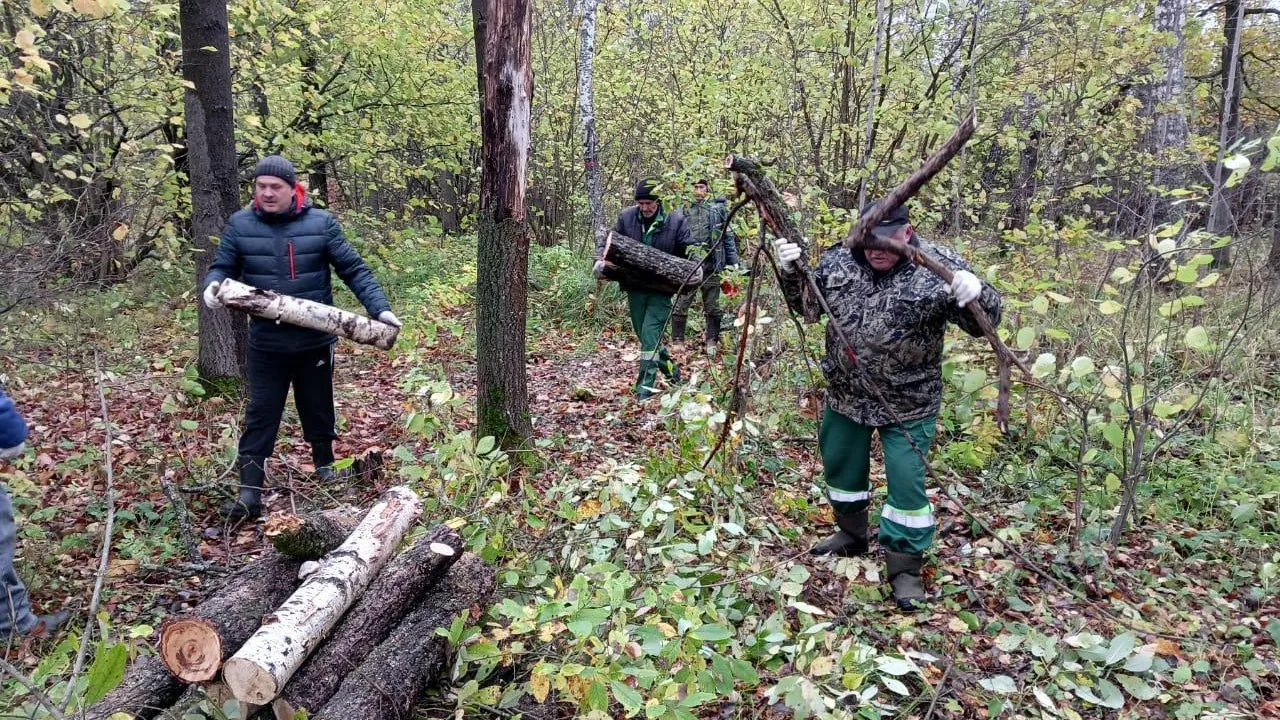В Сергиево‑Посадском округе прошла экоакция «Чистый лес»