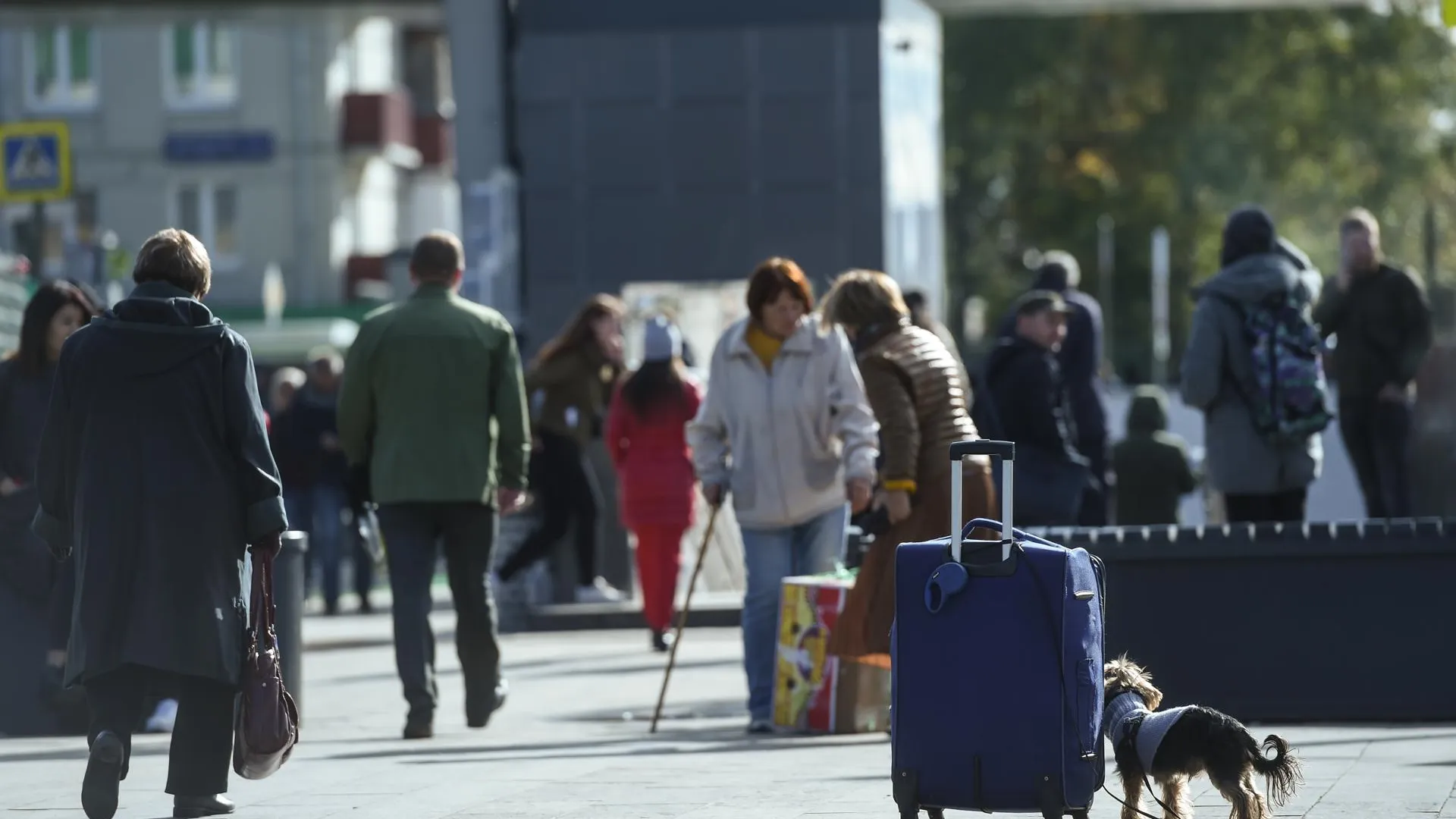 Теплая погода порадует жителей Московского региона в начале новой недели