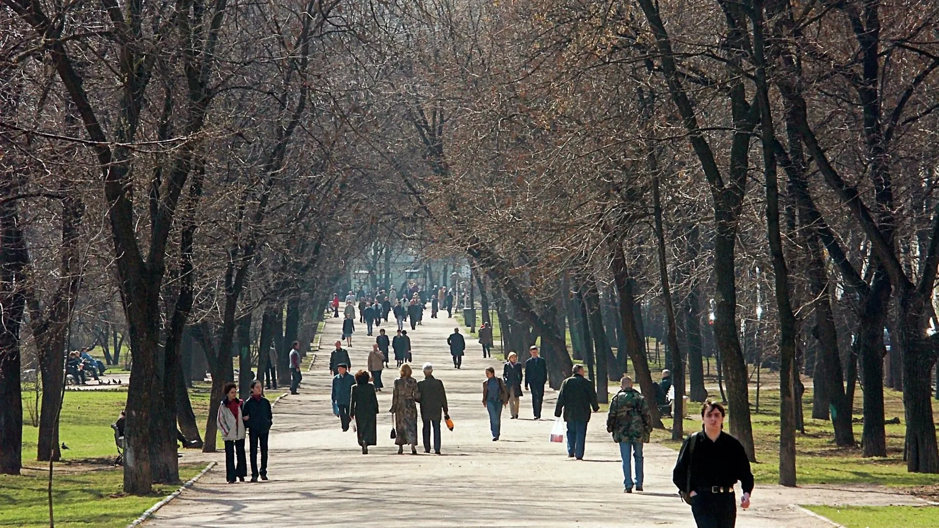 Дождь и до плюс 14 градусов ожидается в Московском регионе в субботу