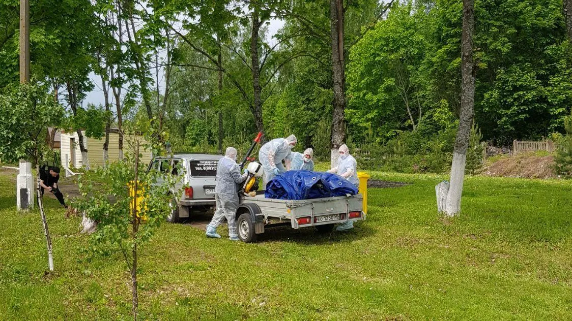 Ветеринары Подмосковья ликвидировали условный очаг гриппа птиц на учениях