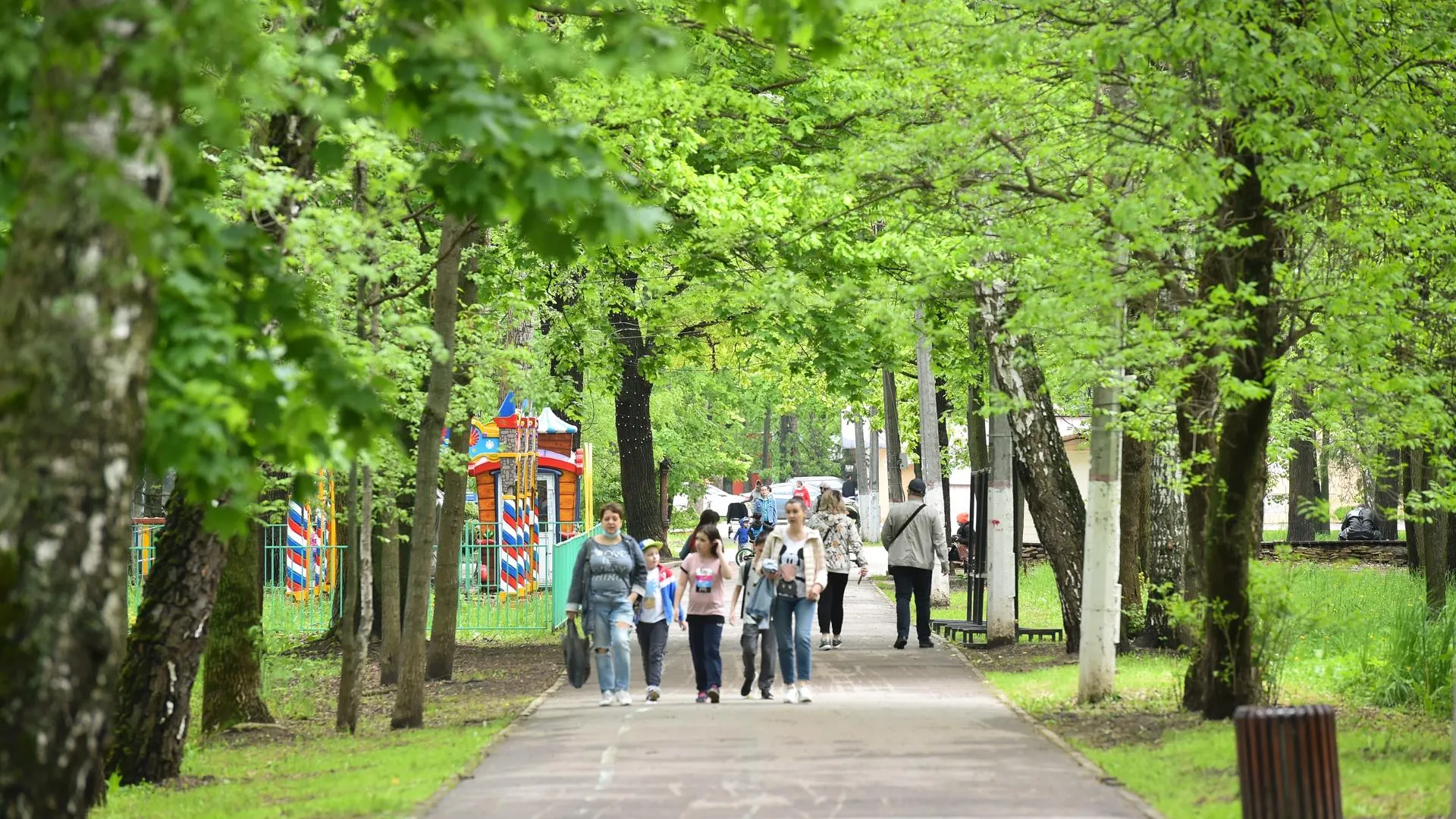 День семьи, любви и верности отметят в подмосковных парках