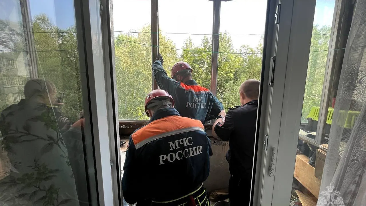 Опубликованы кадры спасения собаки, которая двое суток выла на балконе в Москве
