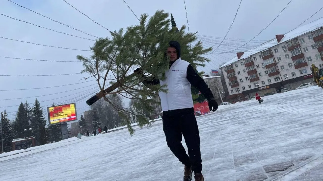 Участникам акции «Подари елке вторую жизнь» напомнили, как перевозить ели в Подмосковье