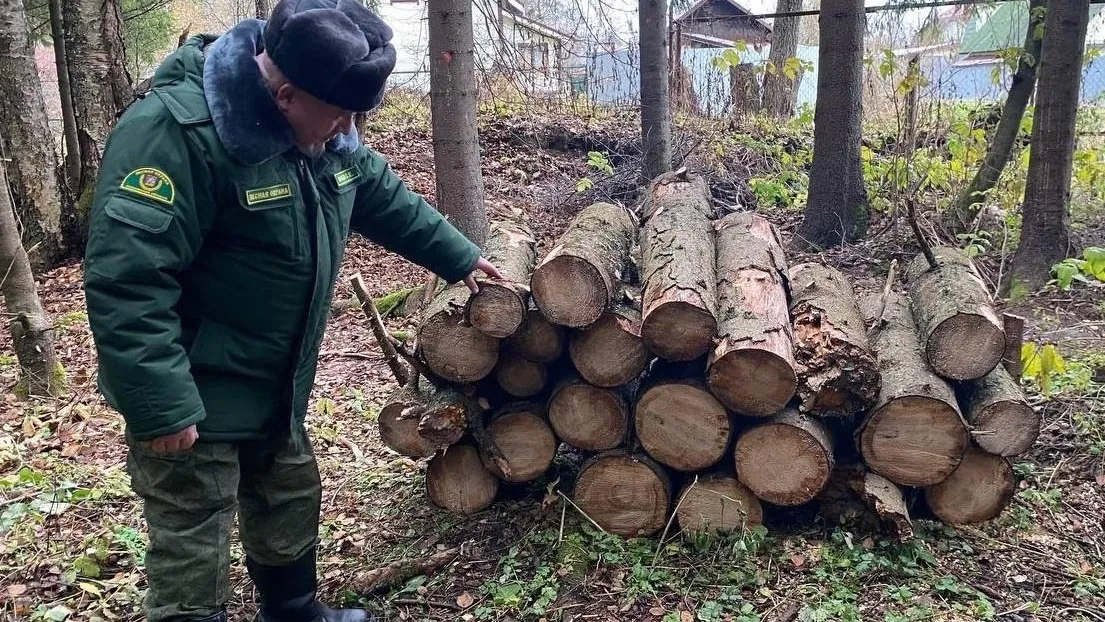 В Наро-Фоминске убрали упавшие деревья на лесном участке площадью 1,9 га