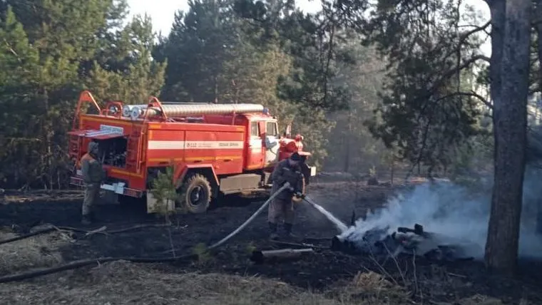 Один лесной пожар ликвидировали в Подмосковье за минувшие сутки