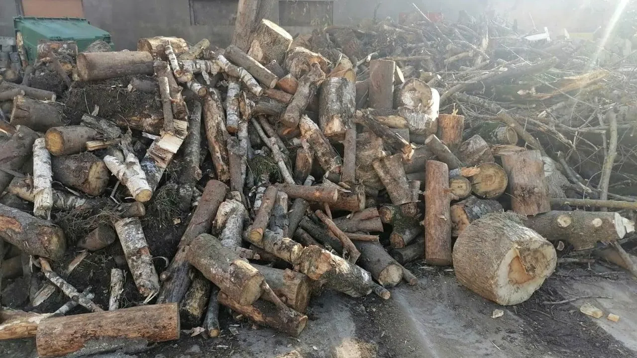 Более 70 куб м дров выдали жителям Красногорска бесплатно