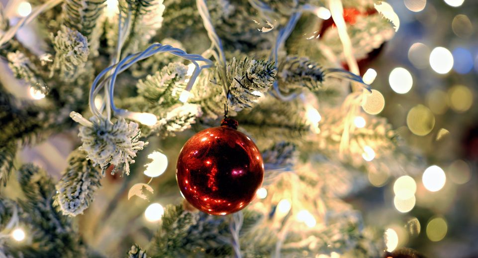 Новогодняя елка вспыхнула в квартире в московской многоэтажке