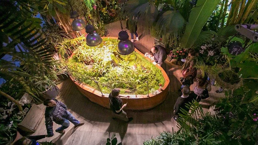 Конференция фестиваля ландшафтного дизайна «Цветочный джем» открылась в Москве