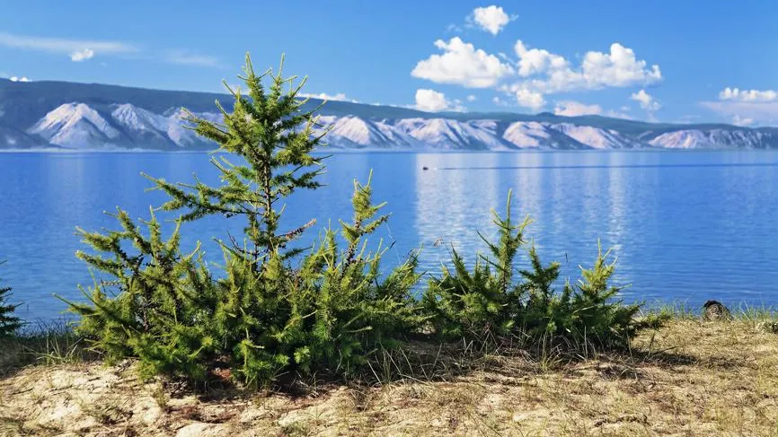Михаил Марковский / Фотобанк Лори