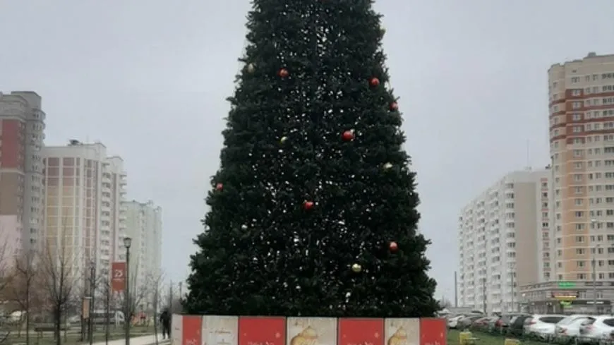 Новогоднюю ель начали устанавливать на бульваре 65‑летия Победы в Подольске
