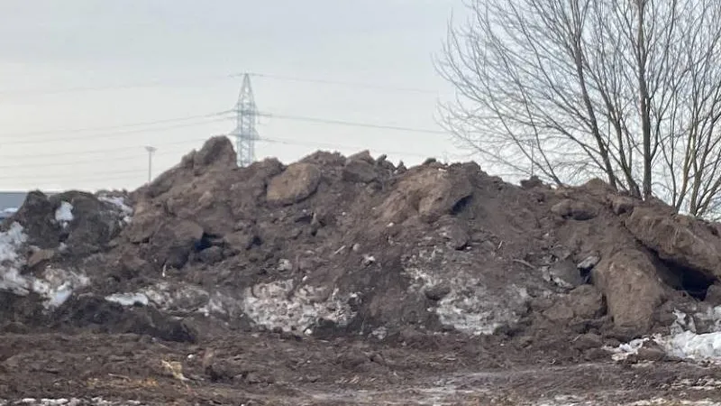Компания из Люберец повторно уличена в недосмотре за своими землями