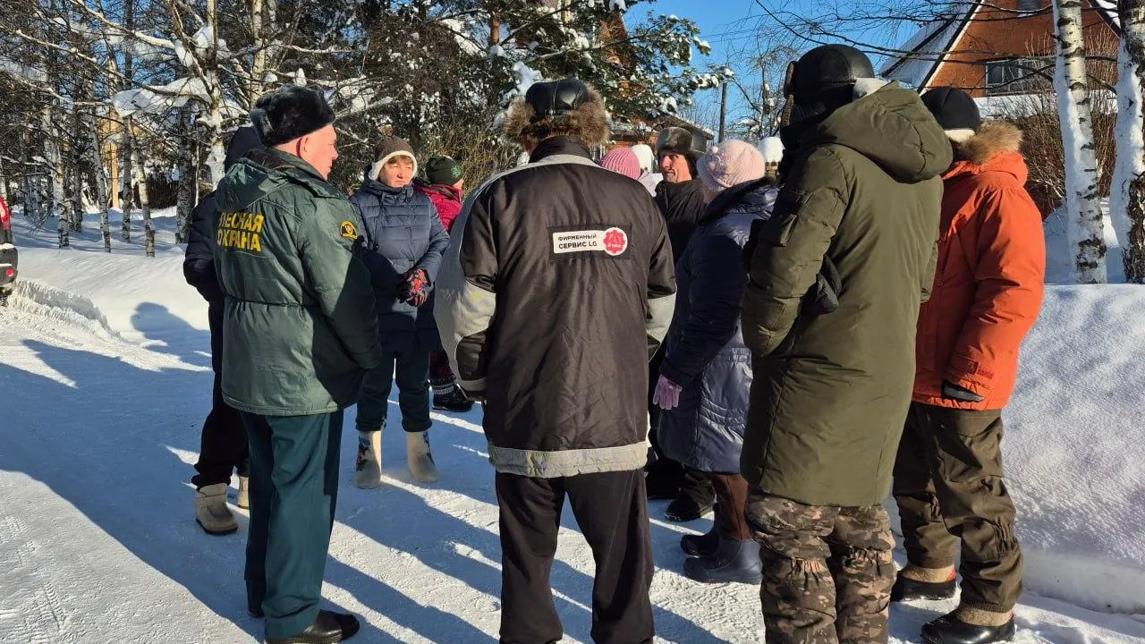 В Рузском округе Подмосковья жителей проинформировали о санитарных работах в лесу