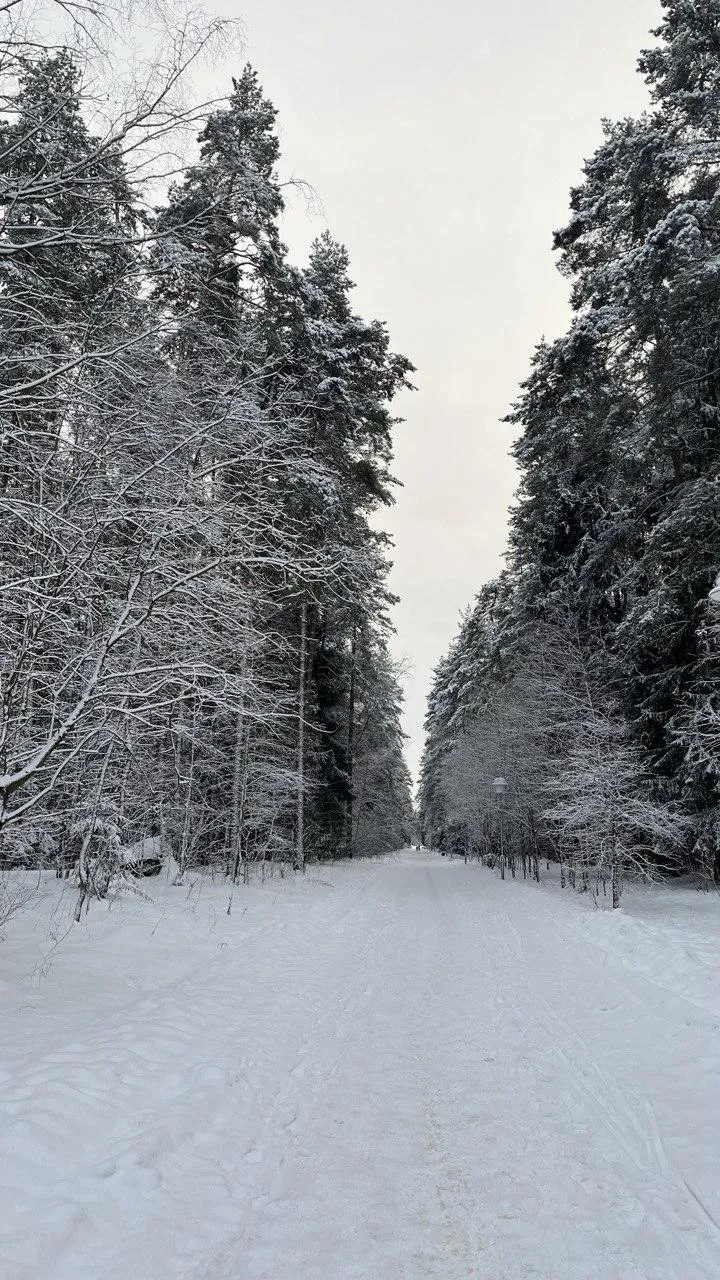 Фотограф Виктор Сафронов