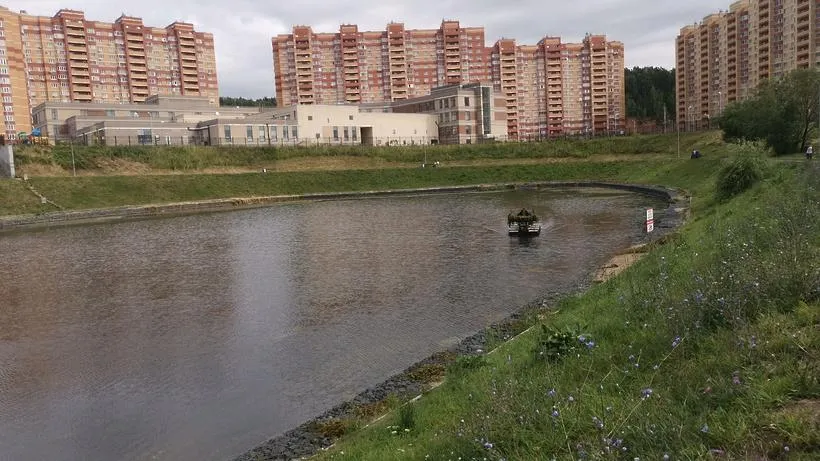 Жители Котельников выберут территорию, которую благоустроят в следующем году