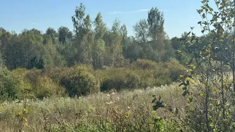 В Солнечногорске зафиксировали рекордный рост стоимости участка на торгах