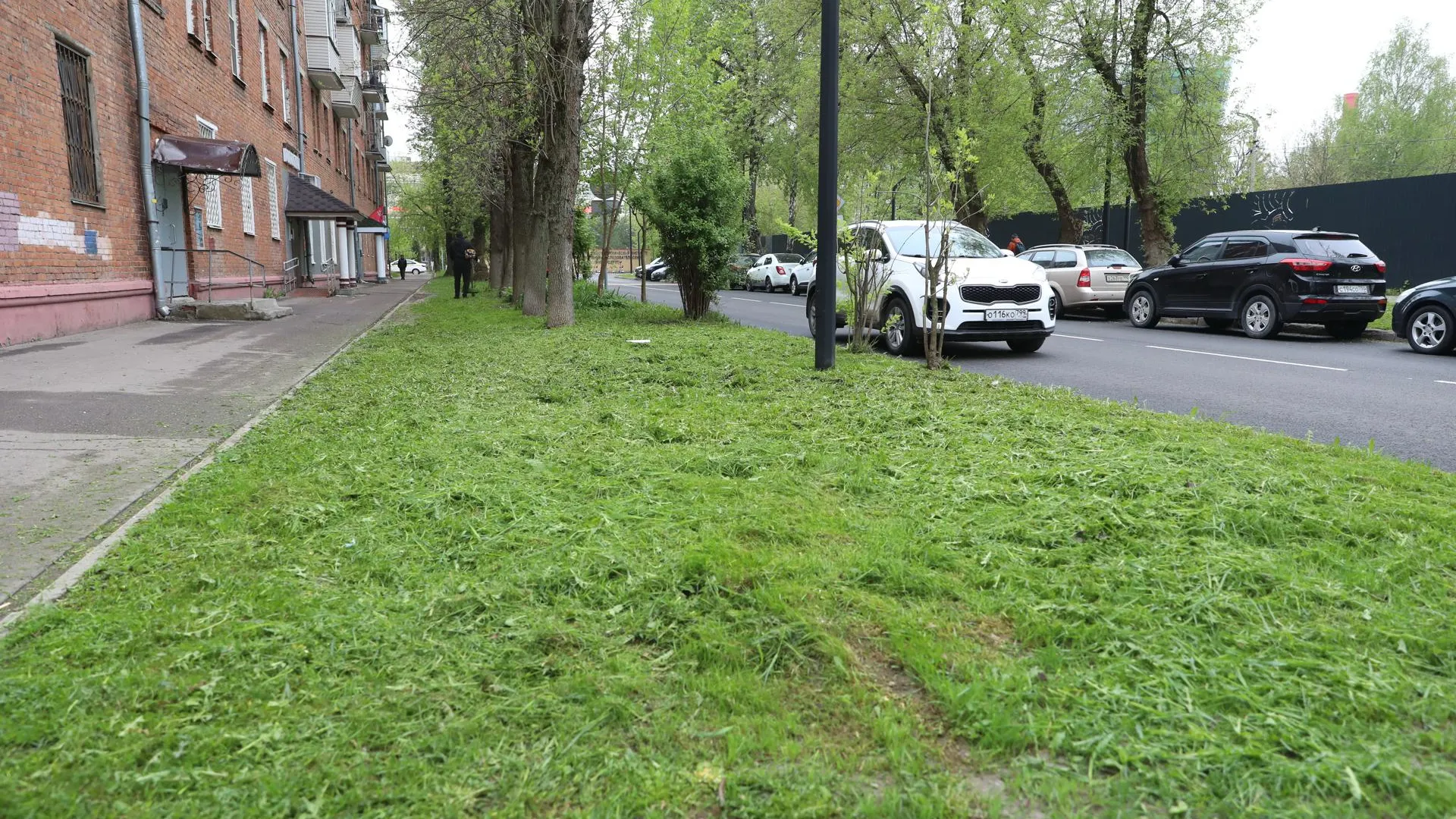 В Долгопрудном начали ежедневный покос травы