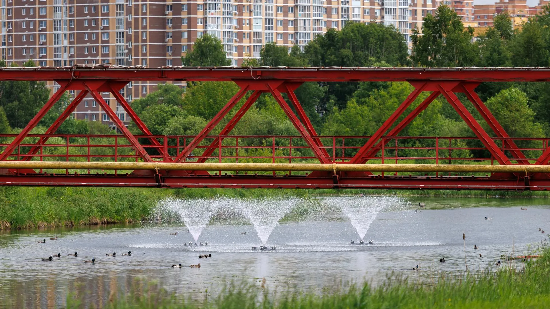 Представитель Мособлархитектуры выступила на конференции «Город у воды»