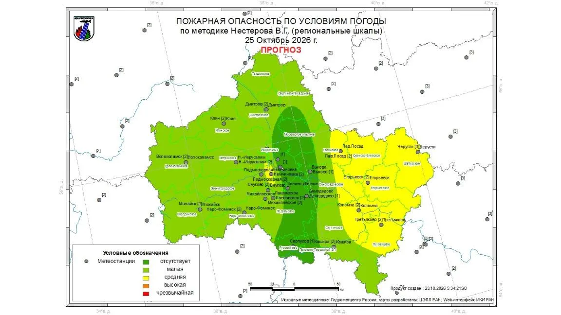 В лесах Подмосковья за сутки не зафиксировали пожаров