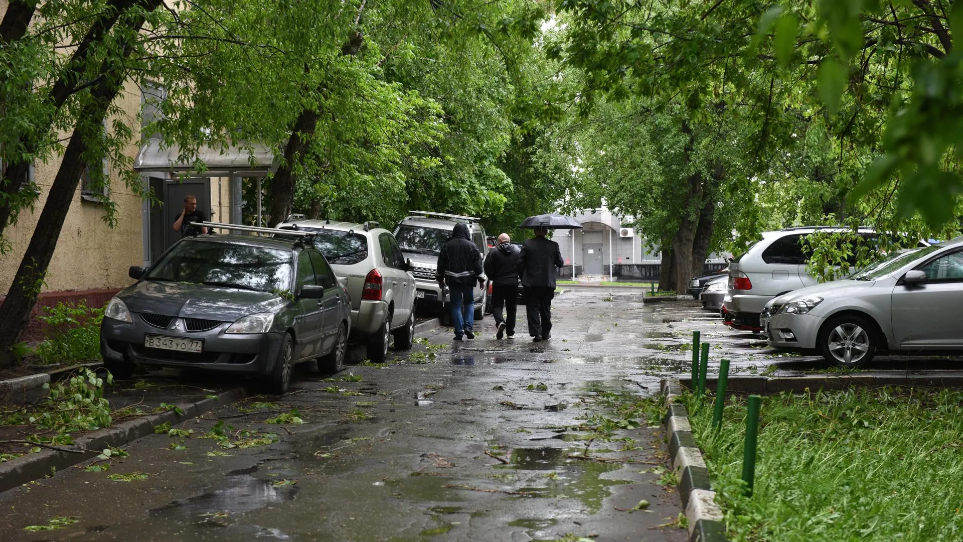 Почти четверть месячной нормы осадков выпало в Подмосковье минувшей ночью