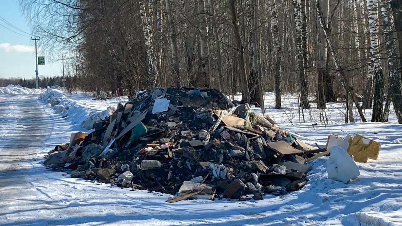 Вопрос с мусором в сквере Подольска планируют решить в 2022 году