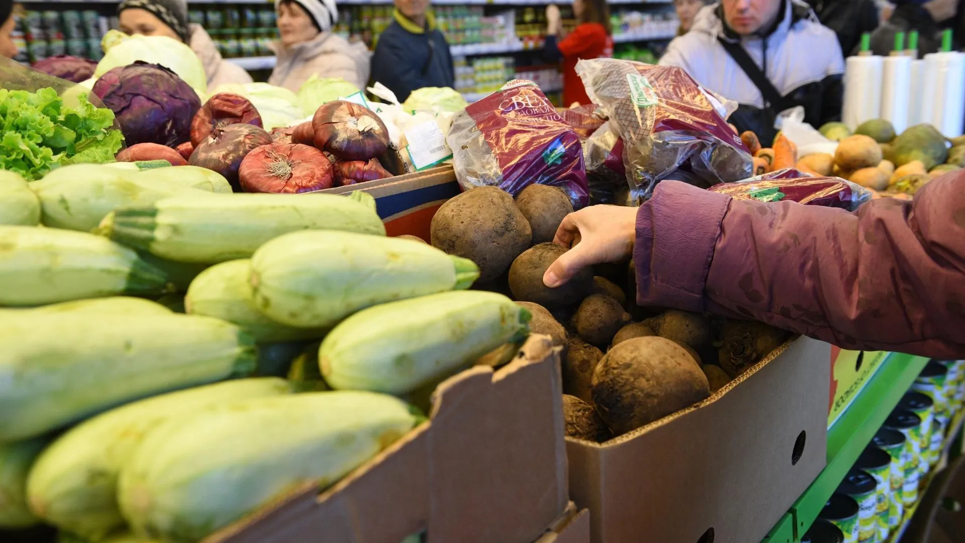 В Подмосковье в 2025 году собрали более 62 тыс тонн свеклы