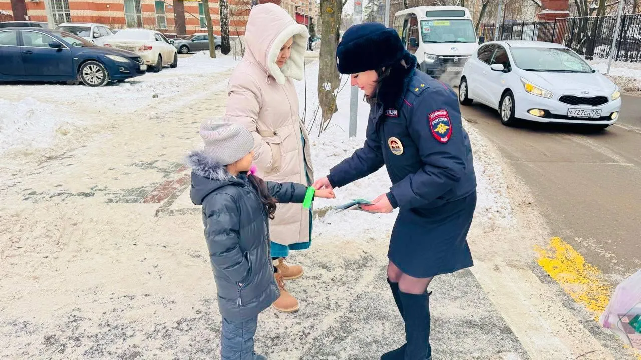 Профилактическая акция «Пешеходный переход» прошла в Балашихе