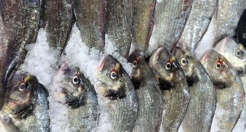 Эксперт Шамрай: наценка на рыбу в магазинах доходит до 200% от ее добычи