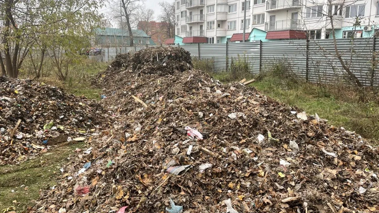 В Подмосковье устранено свыше 1,2 тыс несанкционированных свалок с начала 2023 г