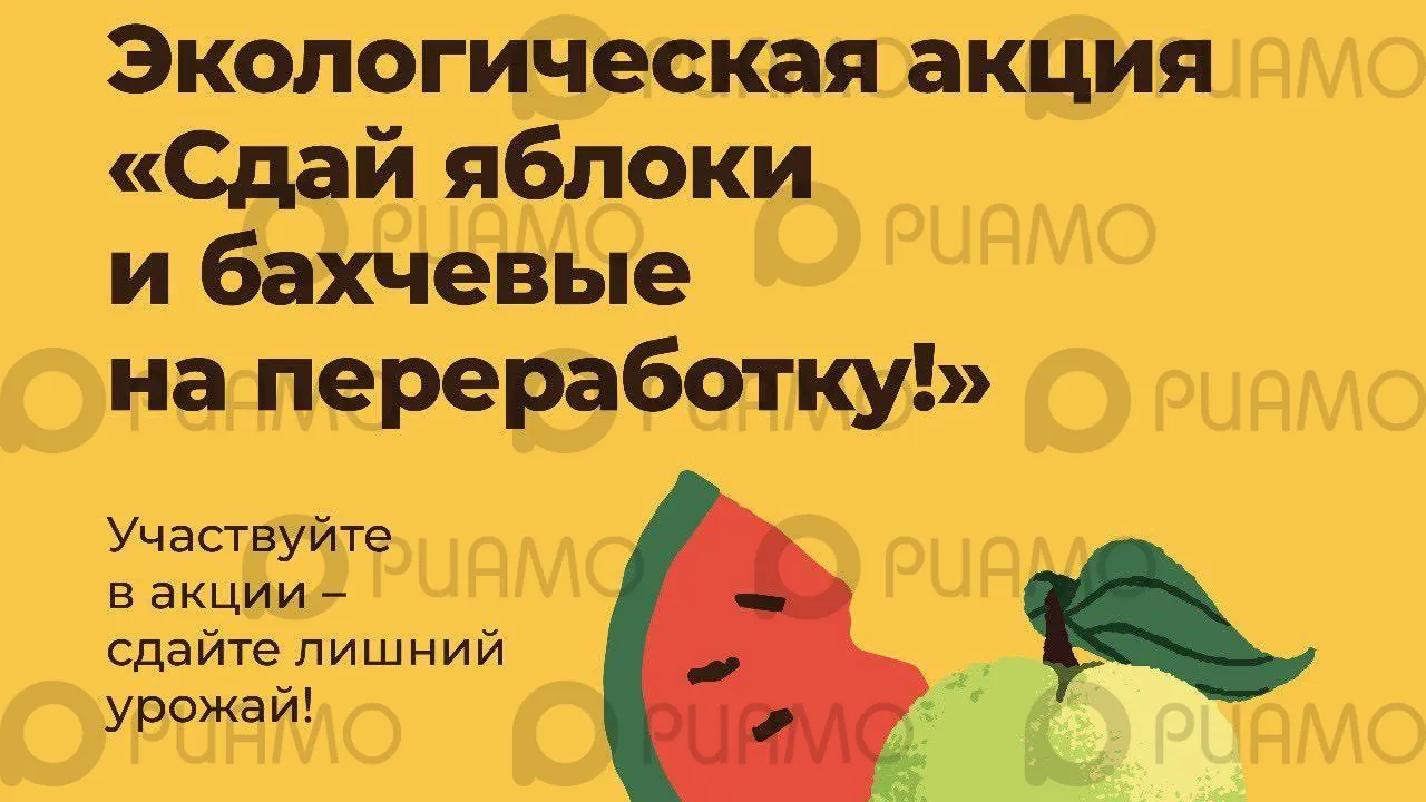 В Подмосковье стартует акция по сбору избыточного урожая яблок, арбузов и дынь