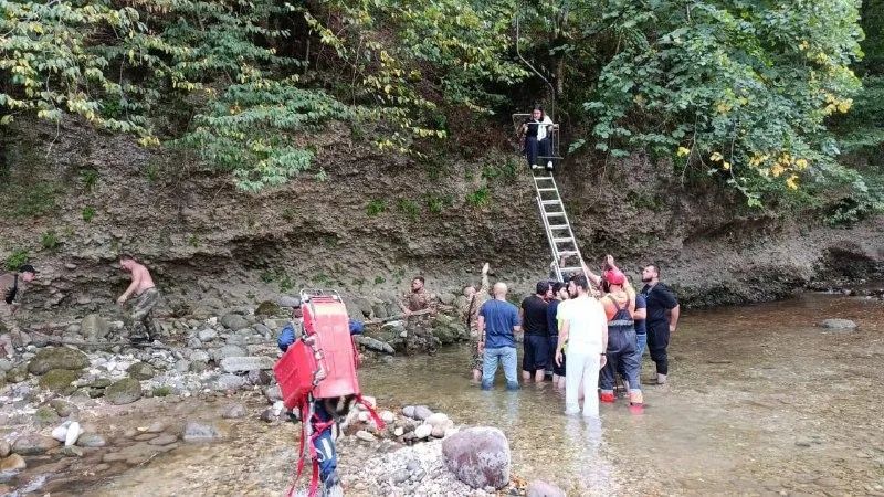 Пять человек попали в больницу после обрыва «канатки» в Нальчике