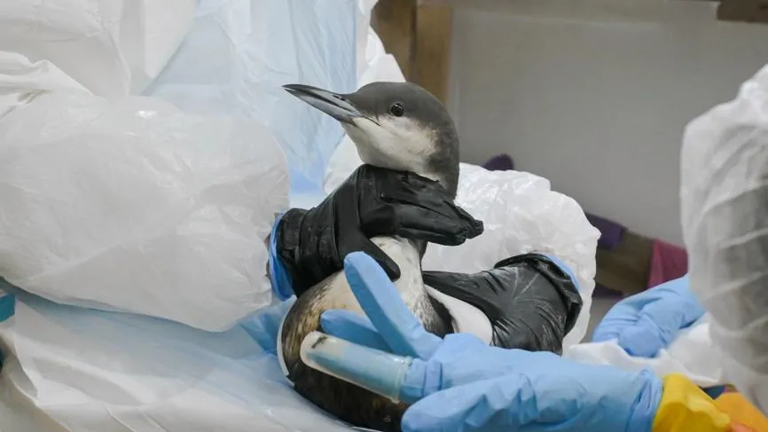 Snezka / Фотобанк Лори