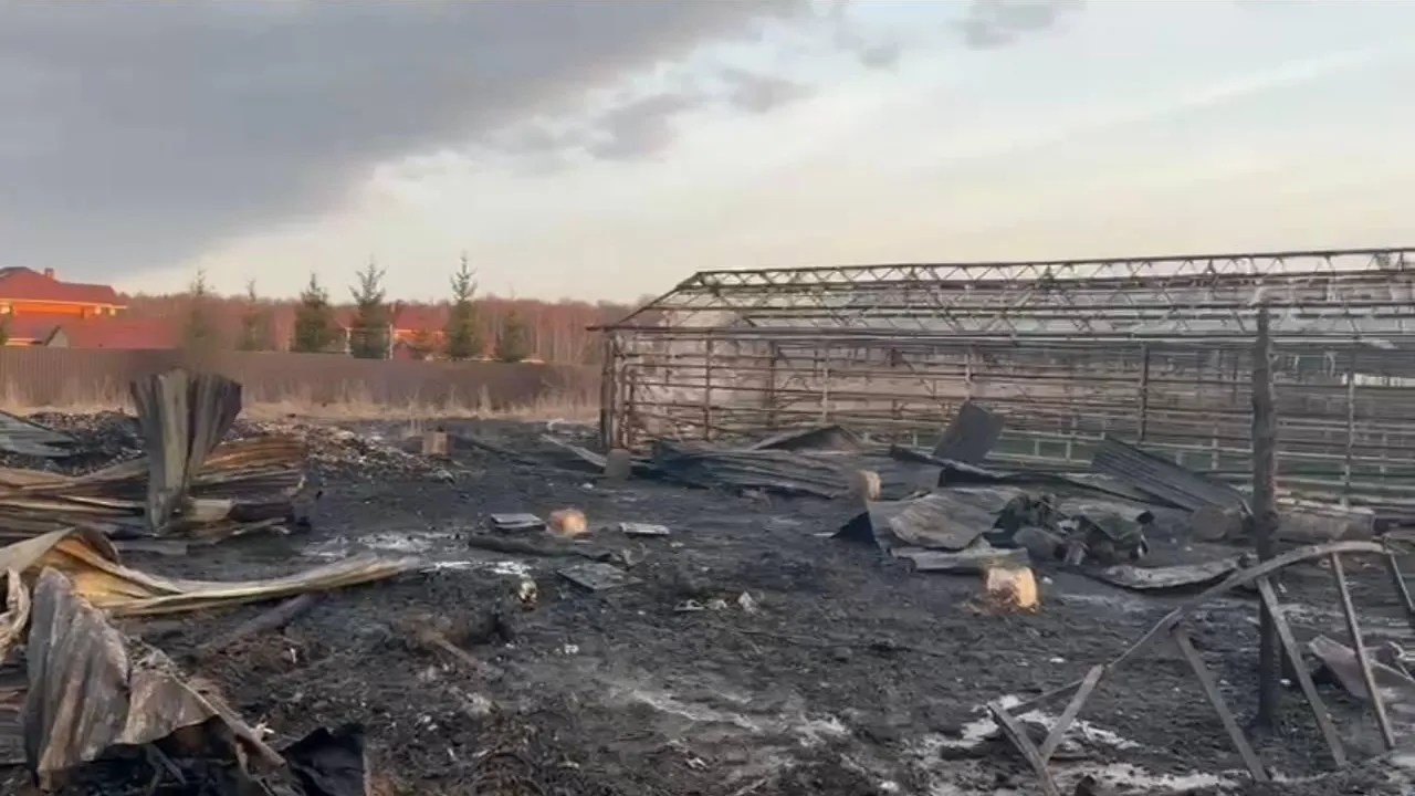 Установлены личности всех погибших при пожаре в теплицах Чехова