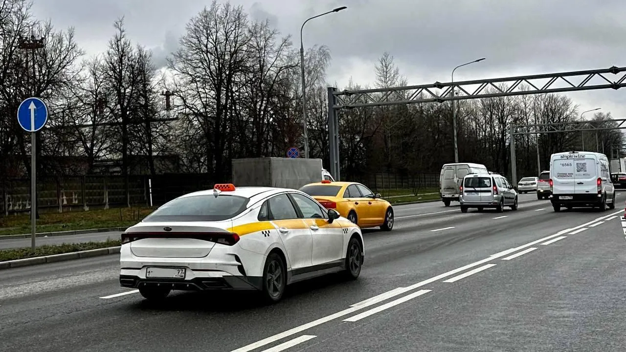 В аэропортах Подмосковья пресекли 250 случаев нелегального такси