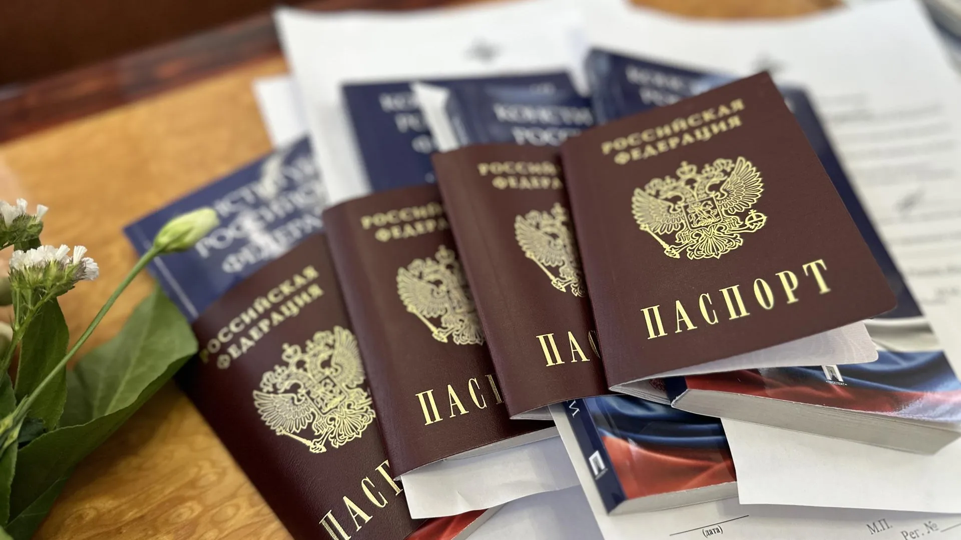 Жителям Донецкой и Луганской народных республик вручили российские паспорта в Реутове
