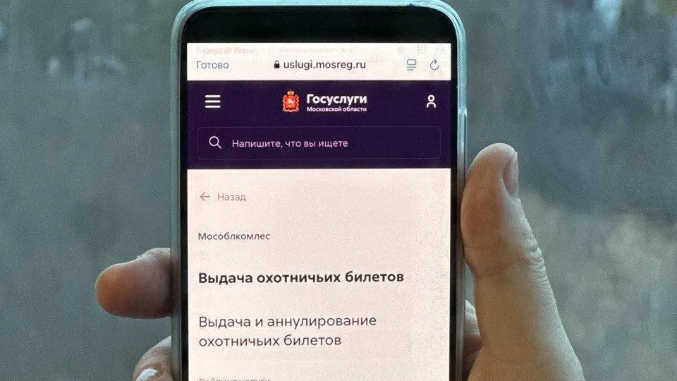 Почти 800 человек в Подмосковье получили охотничьи билеты с начала года