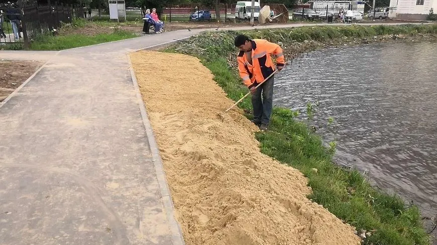 Рабочие приступили к подсыпке песка в пляжных зонах водоема «Южный» Подольска