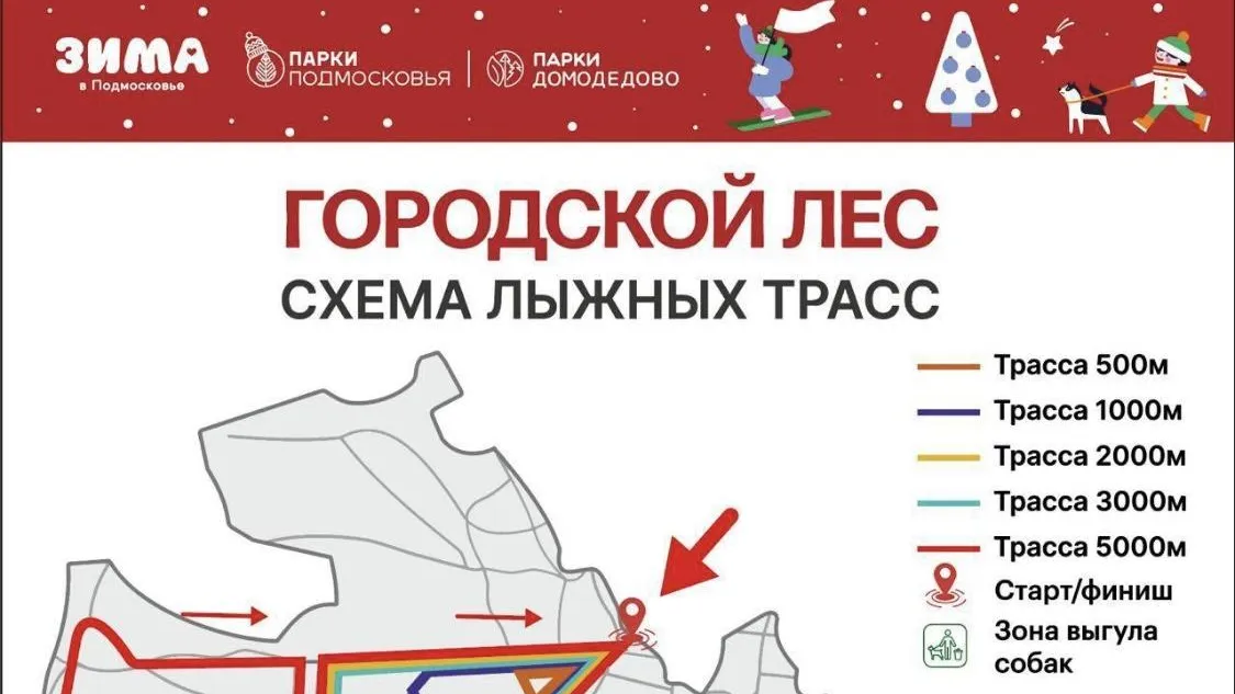 Лыжный забег «В здоровом теле — здоровый дух!» пройдет для долголетов Домодедова 17 января
