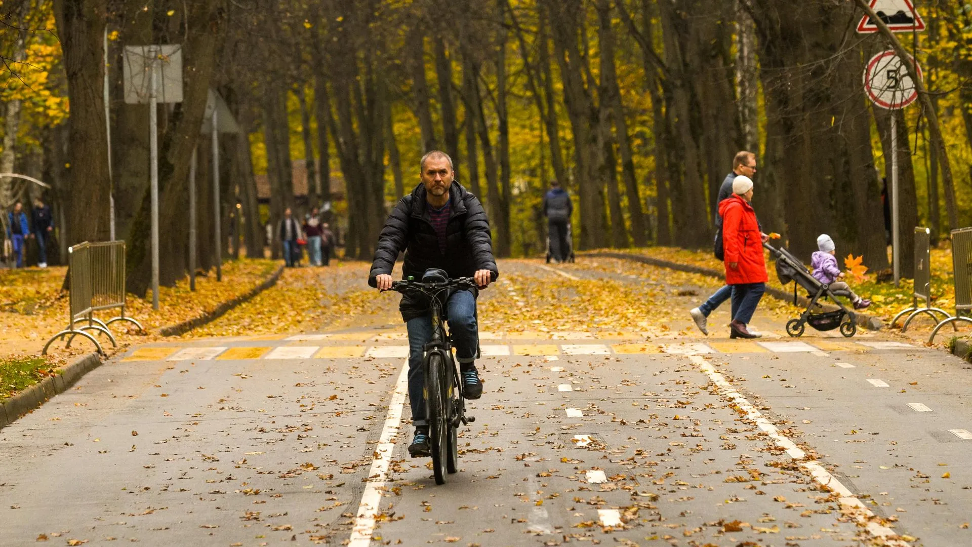 Новый веломаршрут вдоль Москвы‑реки планируют создать в Подмосковье