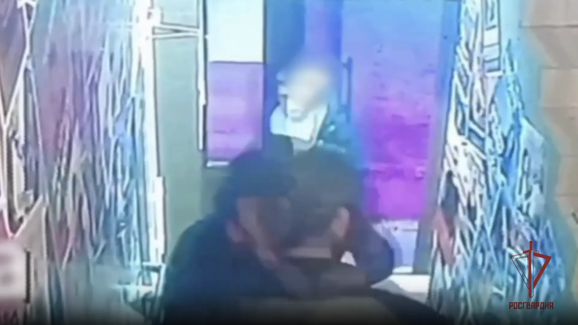 Росгвардейцы задержали двух братьев за нападение на прохожего в Коломне