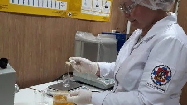 Госветслужба Подмосковья проверила качество продуктов на ярмарке в Дмитрове