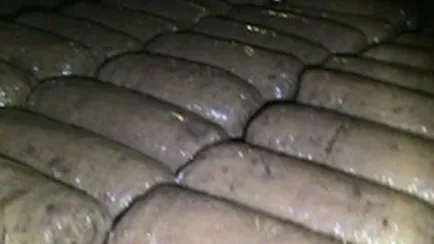 Нарколабораторию по производству марихуаны ликвидировали в Кашире