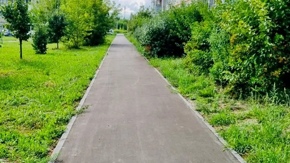 Более 650 народных троп обустроят в Подмосковье в этом году