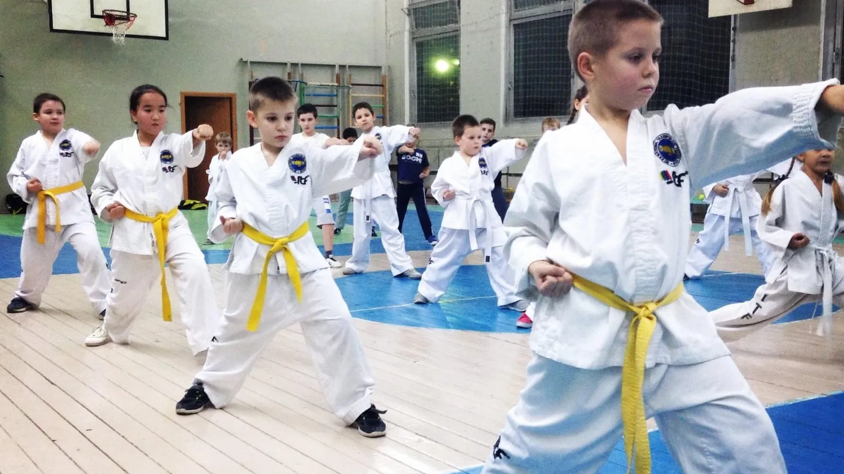 Спортсмены Люберец примут участие в онлайн‑турнире по тхэквондо «Кубок России»