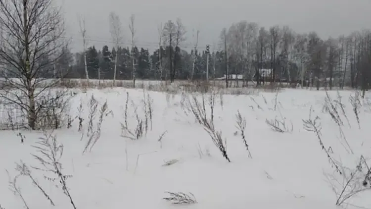 Участок с торгов в Черноголовке