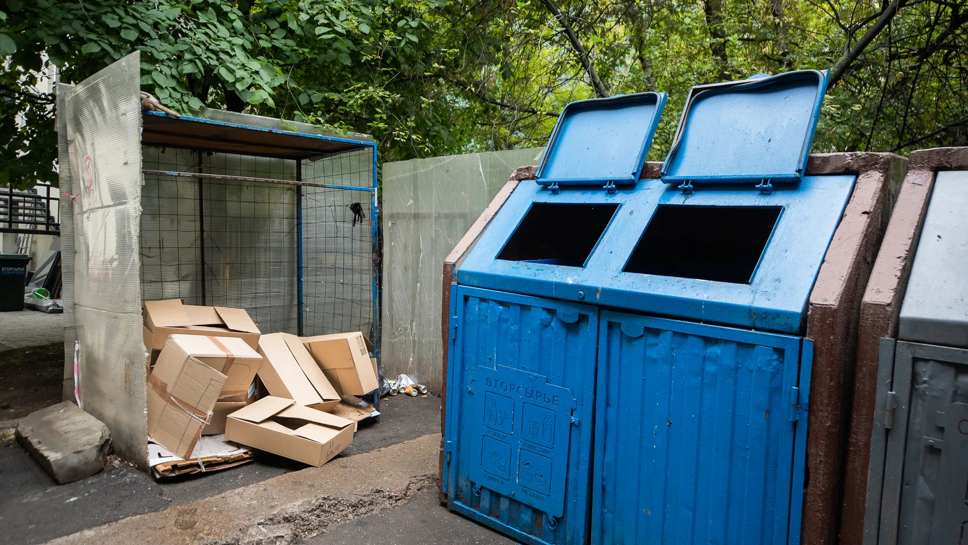 В округе Щелково состоится благотворительная акция по сбору вторсырья