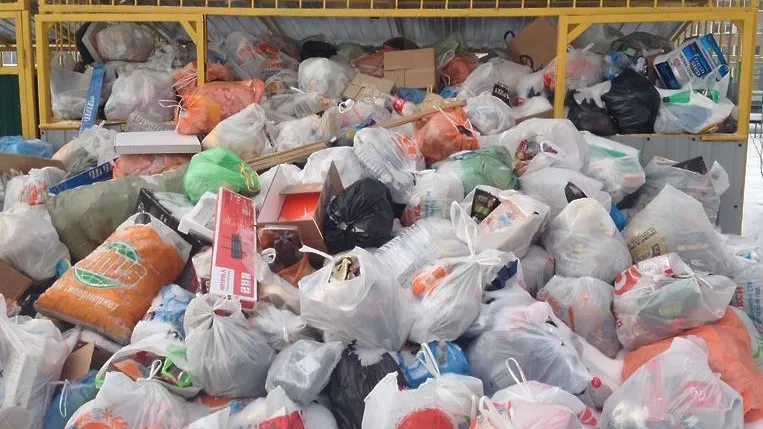 В Подольске с начала июля ликвидировали более 30 незаконных свалок