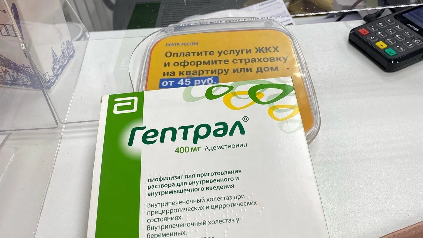 Волонтеры Подольска передали лекарство и помогли закрыть долг за свет 2 подопечным