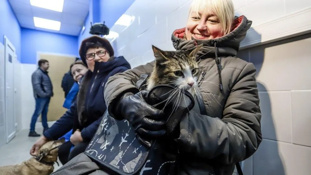 Новую государственную ветеринарную лечебницу открыли в Подмосковье