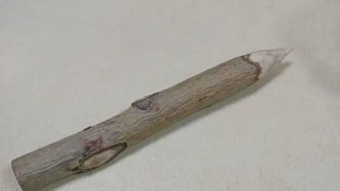 Против вампиров: в Омске женщина явилась в суд с осиновым колом